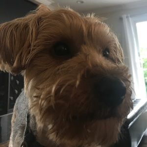 Meet your Posher, Jill